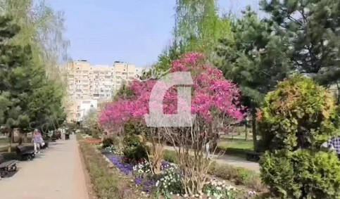 1-комнатная квартира (45 кв.м.)