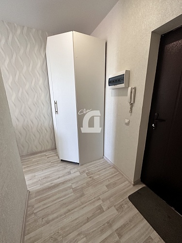 Студия (25.9 кв.м.)