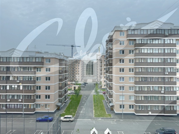 3-комнатная квартира (84.6 кв.м.)