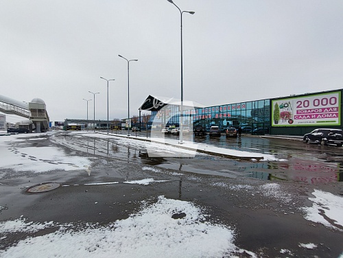  (100 кв.м.)