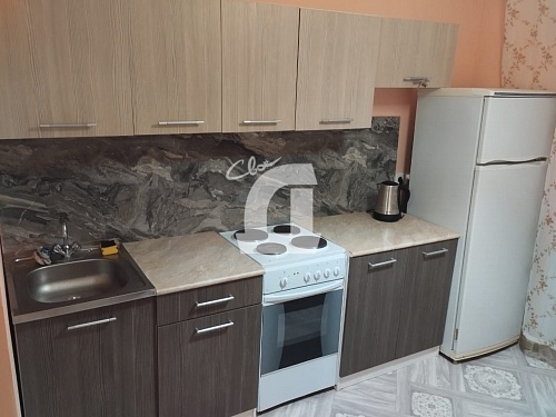 1-комнатная квартира (29.3 кв.м.)