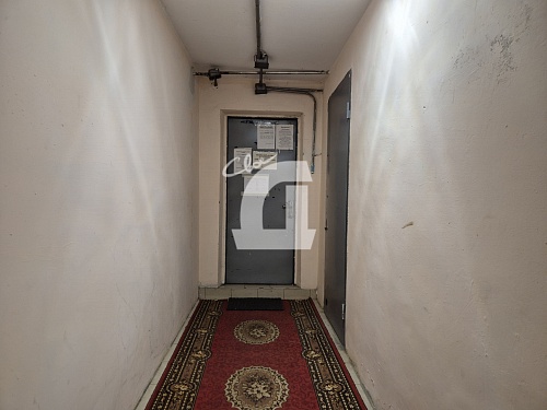 1-комнатная квартира (20 кв.м.)