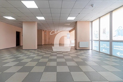  (117 кв.м.)