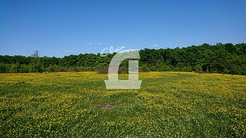Земельный участок (2732 сот.)
