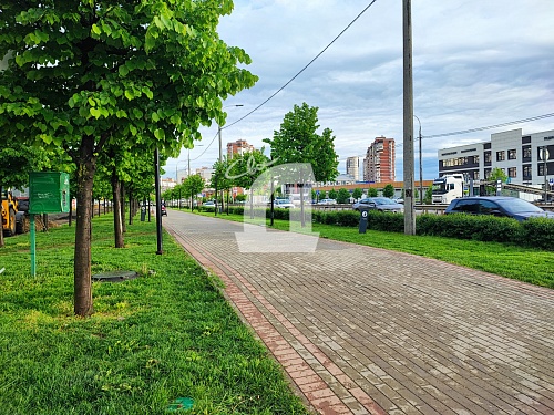  (881 кв.м.)