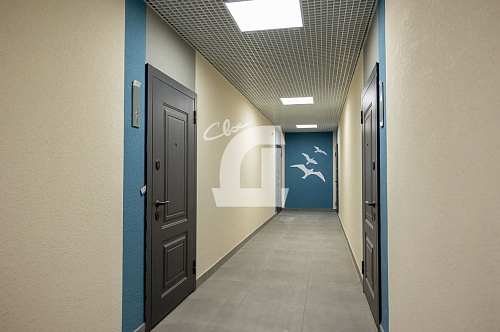 3-комнатная квартира (83 кв.м.)
