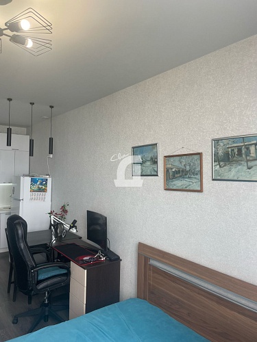Студия (26.2 кв.м.)