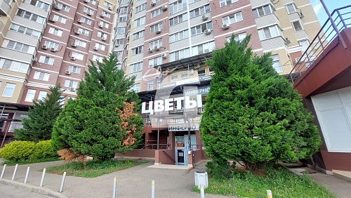  (39 кв.м.)