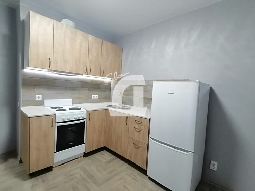 1-комнатная квартира (36 кв.м.)