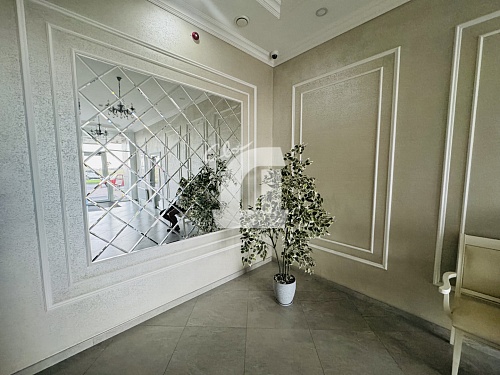 Студия (24.6 кв.м.)
