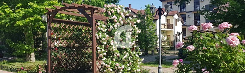 Гостевой дом (357.5 кв.м.)