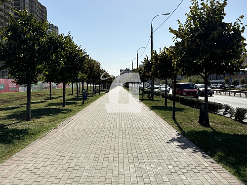  (53.2 кв.м.)