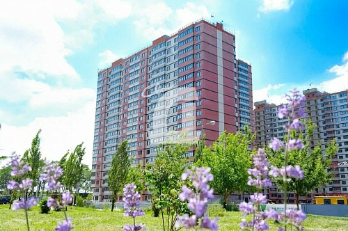 1-комнатная квартира (36.8 кв.м.)