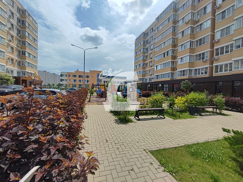  (42 кв.м.)