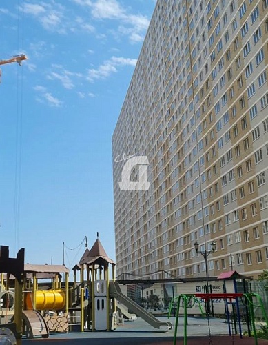 1-комнатная квартира (38 кв.м.)