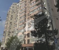 4-комнатная квартира (119 кв.м.)