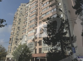 4-комнатная квартира (119 кв.м.)