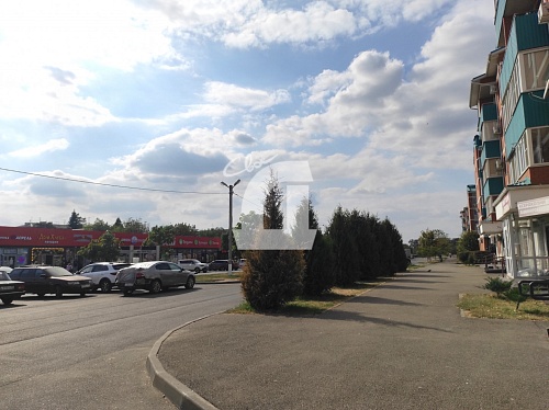  (44 кв.м.)