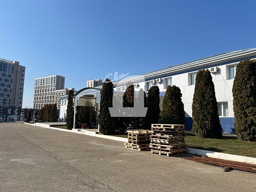  (1300 кв.м.)