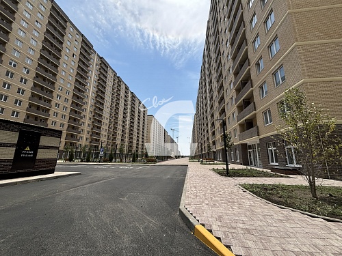  (64.8 кв.м.)