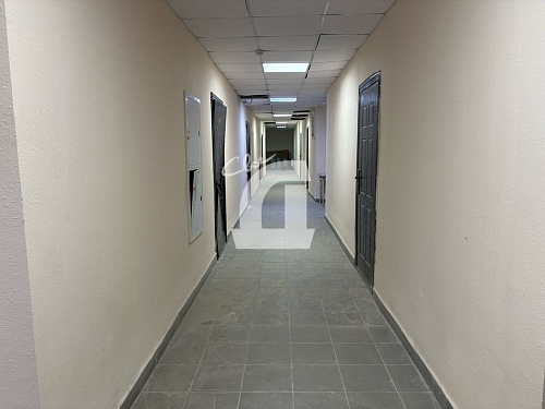  (312.8 кв.м.)