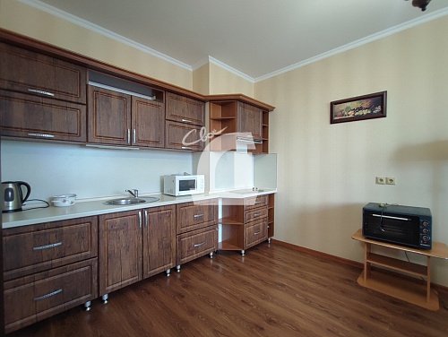 1-комнатная квартира (53 кв.м.)