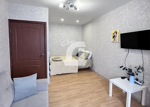 1-комнатная квартира (33 кв.м.)