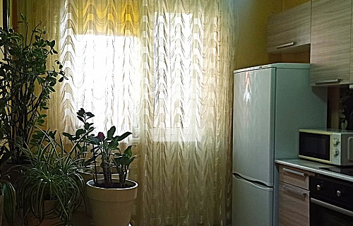 1-комнатная квартира (33 кв.м.)