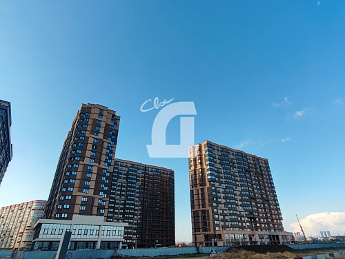  (127.25 кв.м.)