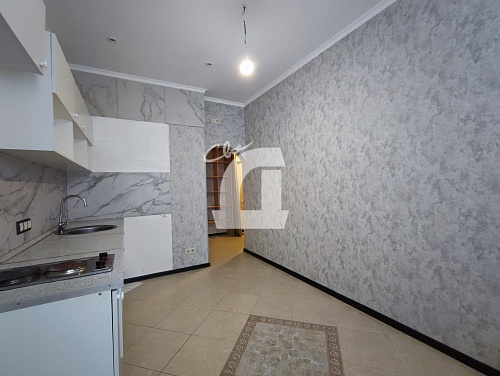 2-комнатная квартира (53.3 кв.м.)