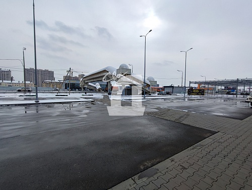  (1650 кв.м.)
