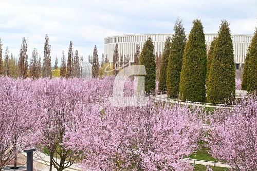 1-комнатная квартира (41.4 кв.м.)
