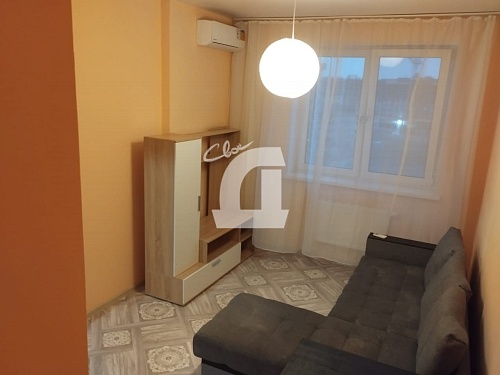 1-комнатная квартира (29.3 кв.м.)