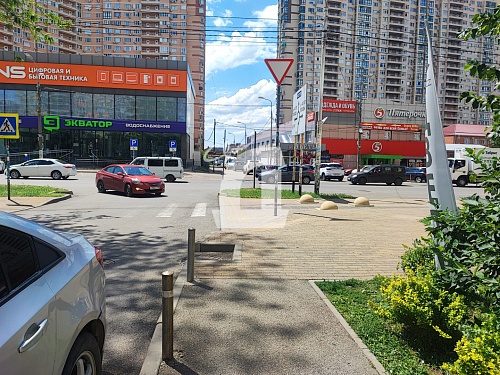 Цветы (42 кв.м.)