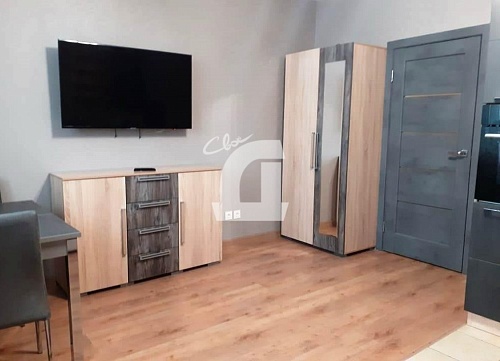 Студия (25 кв.м.)