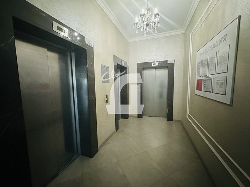 Студия (24.6 кв.м.)