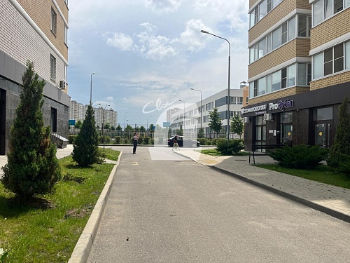  (28.9 кв.м.)