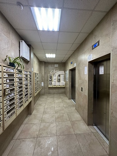 1-комнатная квартира (41 кв.м.)
