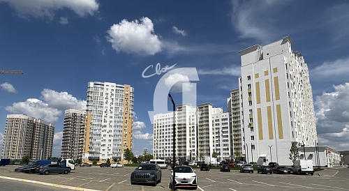  (239 кв.м.)