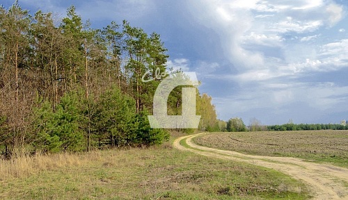 Земельный участок (780 сот.)