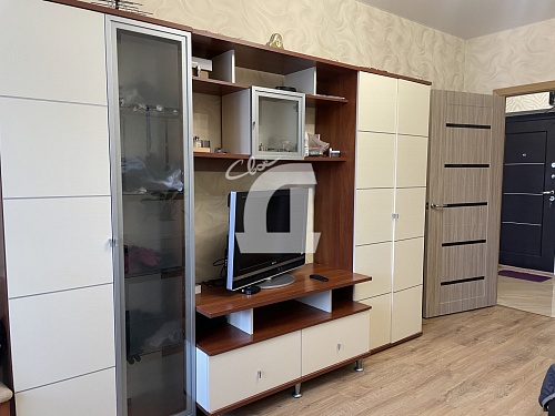 1-комнатная квартира (42 кв.м.)