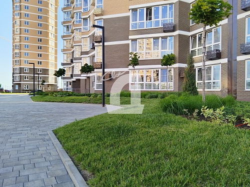 1-комнатная квартира (49 кв.м.)