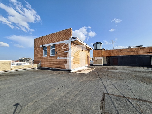 4-комнатная квартира (320 кв.м.)