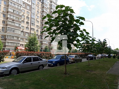 2-комнатная квартира (58.64 кв.м.)