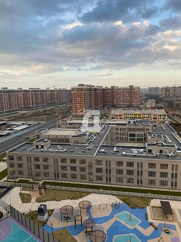 Студия (23 кв.м.)