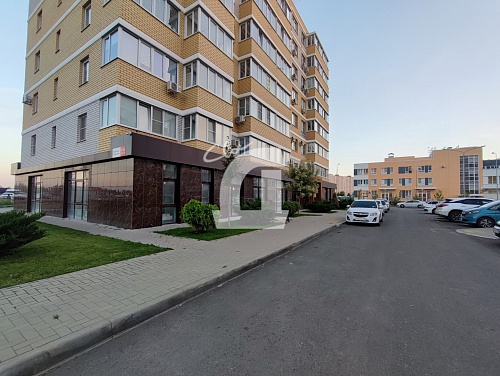  (42 кв.м.)