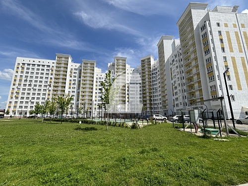  (239 кв.м.)
