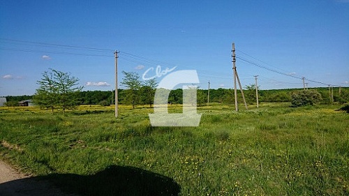 Земельный участок (108 сот.)