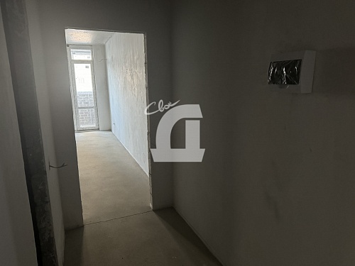 Студия (24.6 кв.м.)