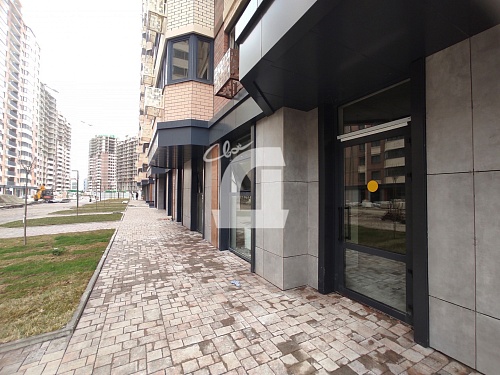  (51 кв.м.)